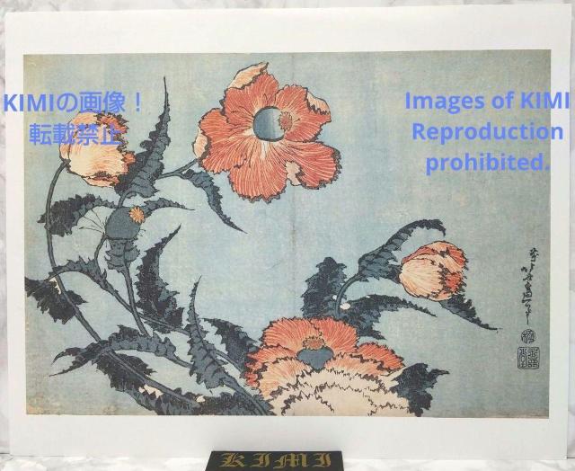 |X^[ q k   ق Poster Keshi Katsushika Hokusai Papaver   zr[ 