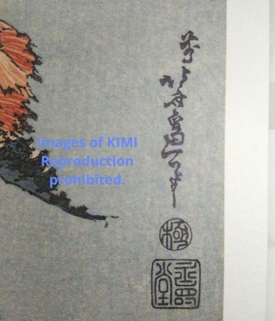 |X^[ q k   ق Poster Keshi Katsushika Hokusai Papaver  zr[ 