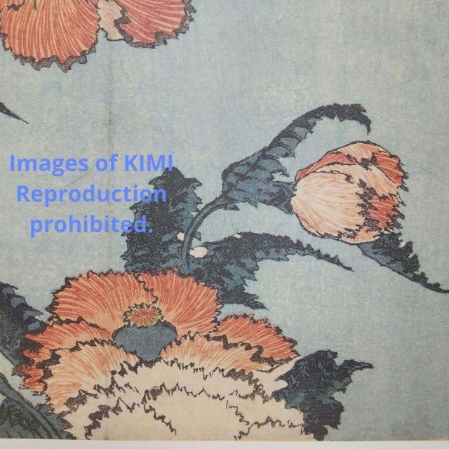 |X^[ q k   ق Poster Keshi Katsushika Hokusai Papaver  zr[ 