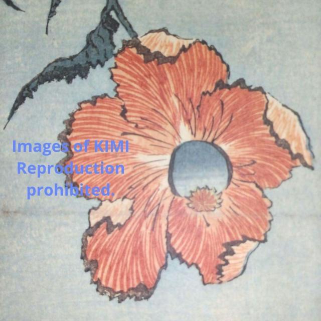 |X^[ q k   ق Poster Keshi Katsushika Hokusai Papaver  zr[ 