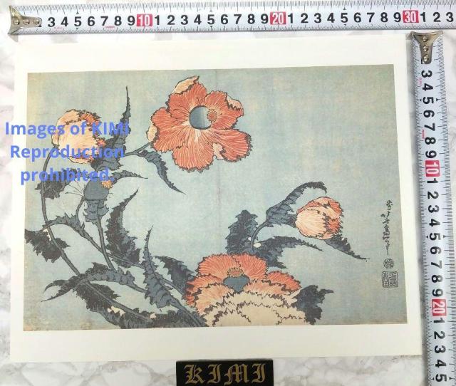 |X^[ q k   ق Poster Keshi Katsushika Hokusai Papaver  zr[ 