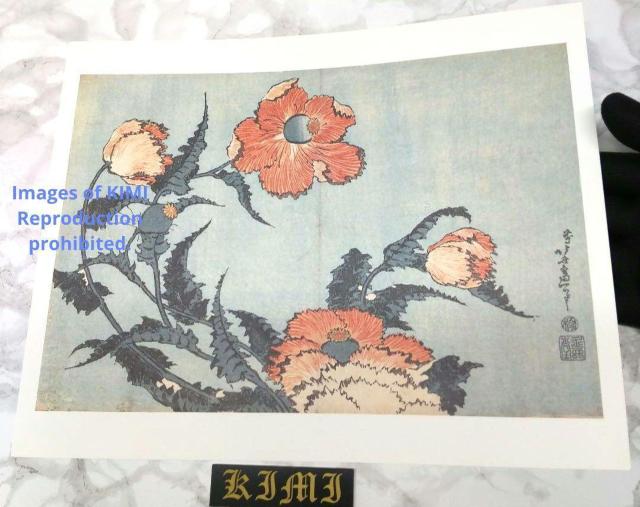 |X^[ q k   ق Poster Keshi Katsushika Hokusai Papaver  zr[ 