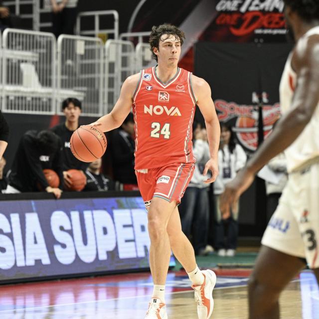 #24 jbNECI蒅p jtH[ iMTCĵ 