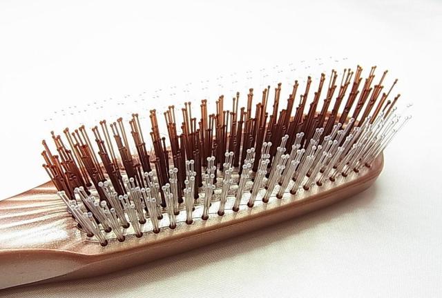 500�~�X�^���n���E�R�V�̂���P�����ӂꂽ���ł��܂ł���X�����B XLUXES �G�O�[�e�B�V�����X�J���v�u���V