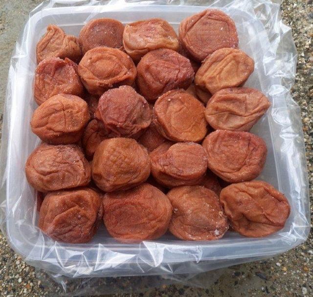 ★とても大きな紀州産南高梅梅干し★ 特大粒4L・B級傷有り(1.2キロ入り)★ < グルメ/ドリンク  ★とても大きな紀州産南高梅梅干し★ 特大粒4L・B級傷有り(1.2キロ入り)★ < グルメ/ドリンクの