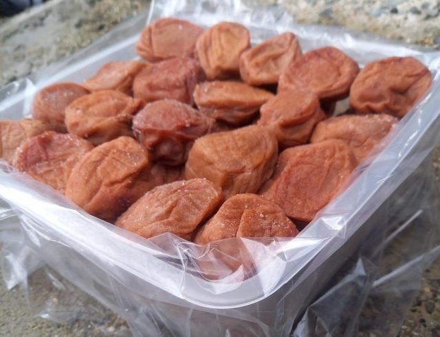 ★とても大きな紀州産南高梅梅干し★ 特大粒4L・B級傷有り(1.2キロ入り)★ < グルメ/ドリンク  ★とても大きな紀州産南高梅梅干し★ 特大粒4L・B級傷有り(1.2キロ入り)★ < グルメ/ドリンクの