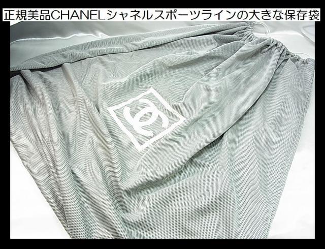 500~X^Ki荢iCHANELVlX|[cC̑傫ȕۑ܁@jp   uh 