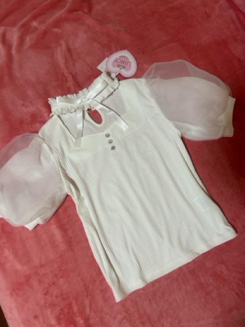   zCgI[ nR[fBl[gZbgAbv@Vigp^Ot  t@bV 