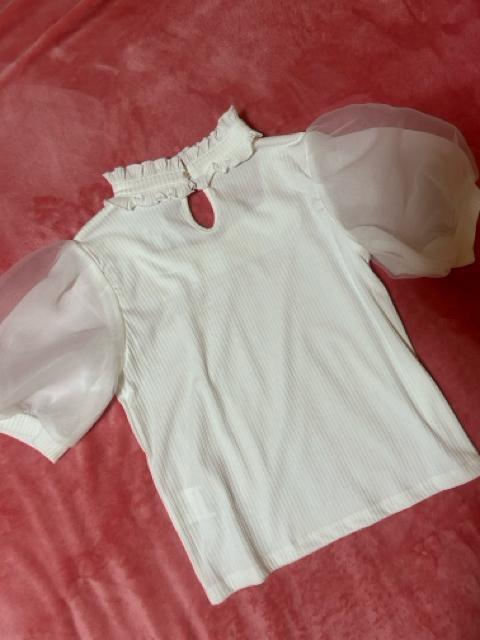   zCgI[ nR[fBl[gZbgAbv@Vigp^Ot  t@bV 