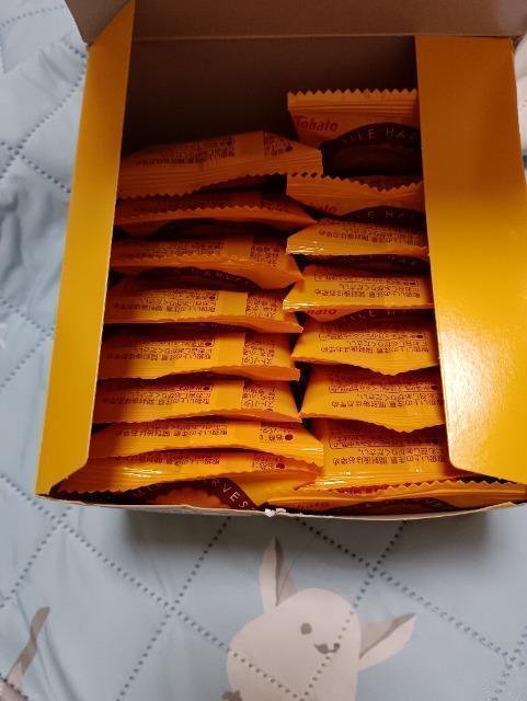 ngAn[xXgAo^[g[Xg  O/hN 