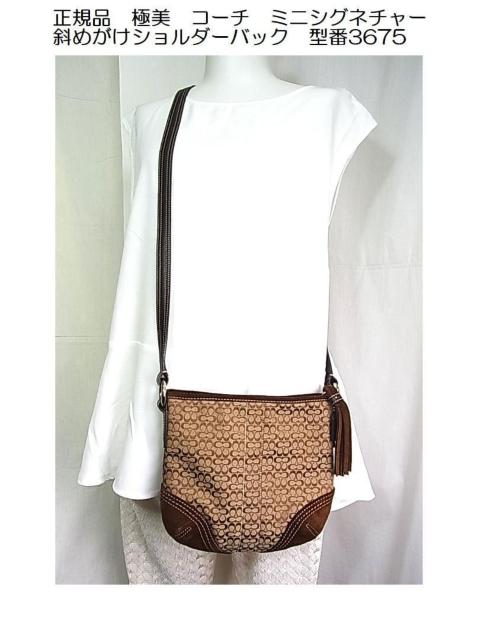 500~X^KɔCOACH@R[`@~jVOl`[@ ΂߂V_[obN@^3675 