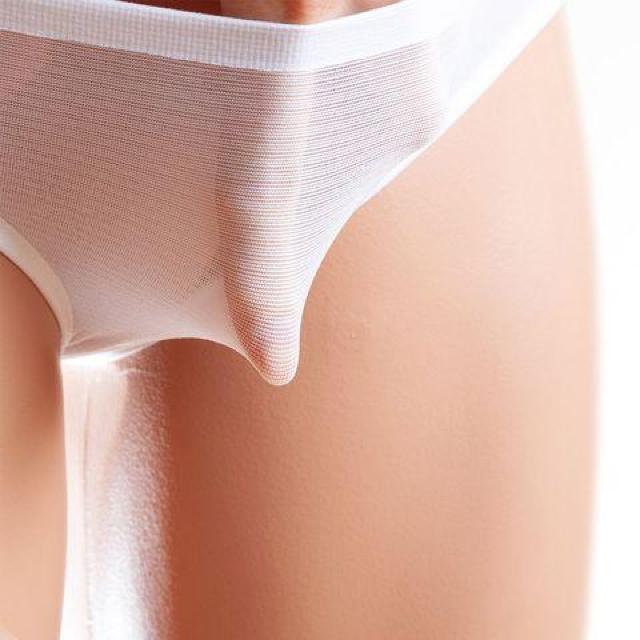 ストッキング素材 透け透けフルバックショーツ ユニセックス 白 < 女性ファッション  ストッキング素材 透け透けフルバックショーツ ユニセックス 白 < 女性ファッションの