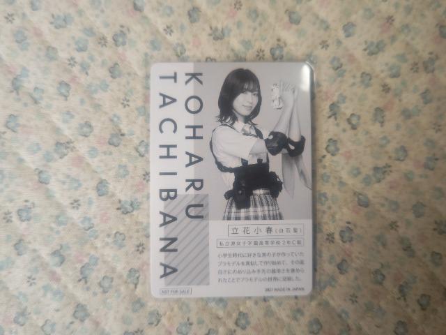 �g���J '21 �A�^�b�N�K�[���K�� ���ԏ��t    ���ΐ� �� �A�j��/�R�~�b�N/�L�����N�^�[�� 