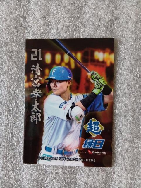  t@C^[YgJ @ {@KY@ gJIQRR[ht@ 񔄕iAVi@@ gJ   W[/X|[c 