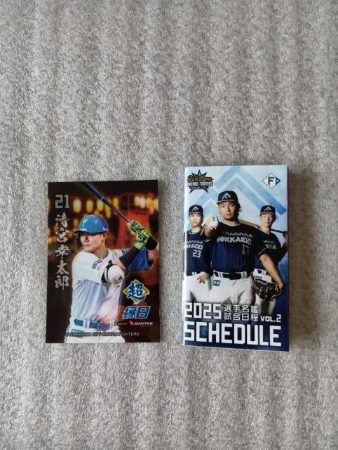  t@C^[YgJ @ {@KY@ gJIQRR[ht@ 񔄕iAVi@@ gJ  W[/X|[c 