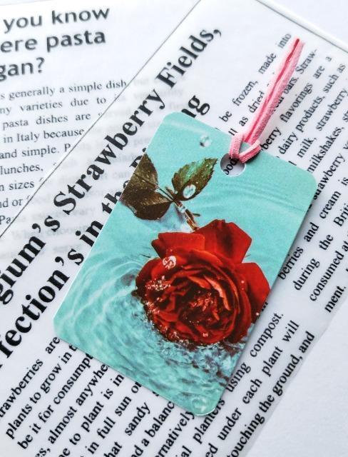 �n���h���C�h/�~�j������/�u�b�N�}�[�J�[/�|�g����/ �K�N �� �y�b�g/��|/���|�� 