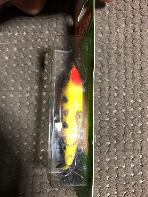 �w�h���@�w�����C�U�[