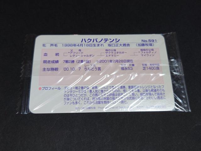 【未開封】まねき馬倶楽部 まねき馬カード レギュラーカード No.591 ハクバノテンシ < トレーディングカード 【未開封】まねき馬倶楽部 まねき馬カード レギュラーカード No.591 ハクバノテンシ < トレーディングカードの