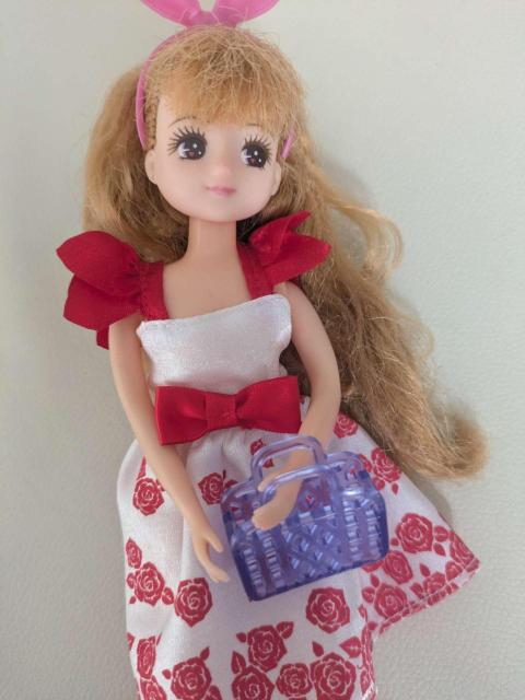 �h�[���p �~�j�`���A �N���A�p�[�v�� �J�S�o�b�O ���J����� �u���C�X �� ��������� 