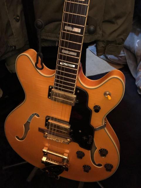 GUILD �Z�~�A�R�[�X�e�B�b�N�M�^�[ �n�[�h�P�[�X�t �� �Ɠd/AV�� 