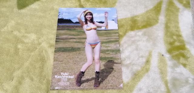 AKB48柏木由紀☆週刊ヤングジャンプ2022のクリアファイル(非売品)! < タレントグッズ AKB48柏木由紀☆週刊ヤングジャンプ2022のクリアファイル(非売品)! < タレントグッズの