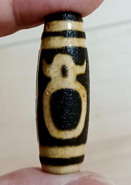 `xbg ΋{ _V ^  ybg/|/| 