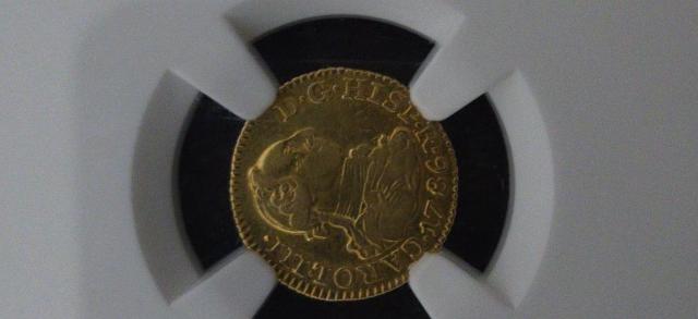 �y�H���i�z�X�y�C�� 1/2E���� �� �z�r�[�� 