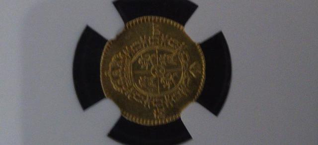 �y�H���i�z�X�y�C�� 1/2E���� �� �z�r�[�� 