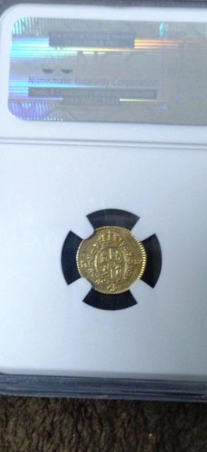 �y�H���i�z�X�y�C�� 1/2E���� �� �z�r�[�� 