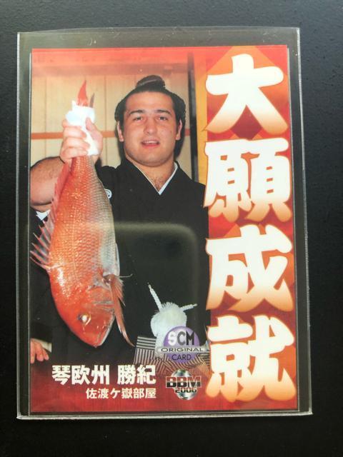 QOOUbaseball magazine/SCMIWiJ|hEՉBImnn   g[fBOJ[h 