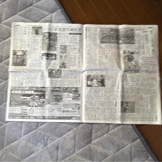 �W�����{���肳�񈣓��̐V�� �_�ːV�� �V�i���g�p�i !�B �� �z�r�[�� 