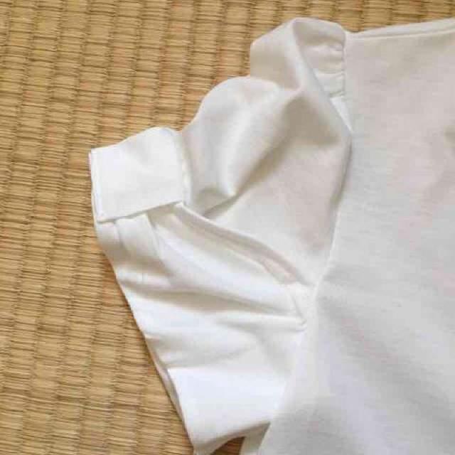 n[LeBEzCgJ[ό`{Jbg\[BkTCY  t@bV 