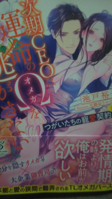 次期CEOは運命のΩを逃がさない★池戸裕子/ガブリエラブックス < 本/雑誌 次期CEOは運命のΩを逃がさない★池戸裕子/ガブリエラブックス < 本/雑誌の