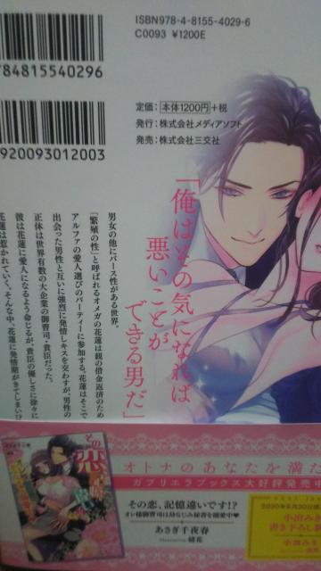次期CEOは運命のΩを逃がさない★池戸裕子/ガブリエラブックス < 本/雑誌 次期CEOは運命のΩを逃がさない★池戸裕子/ガブリエラブックス < 本/雑誌の