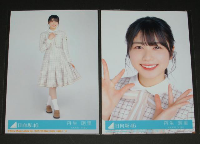日向坂46 君しか勝たん 生写真2枚セット 丹生明里 < タレントグッズ  日向坂46 君しか勝たん 生写真2枚セット 丹生明里  < タレントグッズの