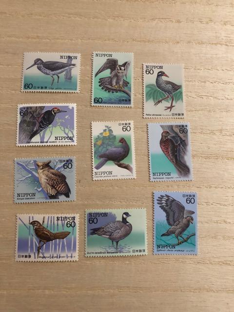 ؎聙꒹ރV[Y 1983-84Ns@PЁyS10튮z   zr[ 