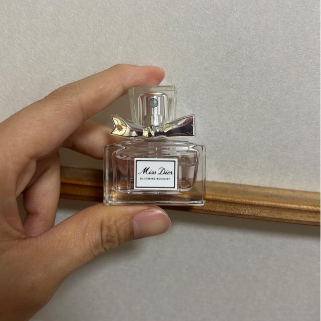 Miss Dior mini   uh 