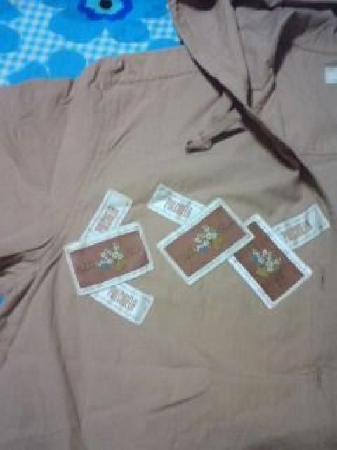 PULCI NELA k[fBsN Vc by t[h Vi  t@bV 