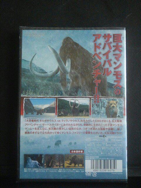 マンモスvsサーベルタイガー氷河期大戦争 < CD/DVD/ビデオ マンモスvsサーベルタイガー氷河期大戦争 < CD/DVD/ビデオの