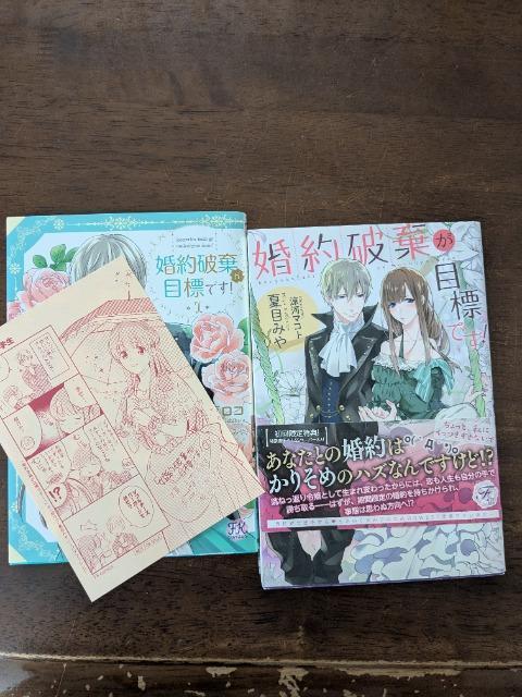 婚約破棄が目標です!夏目みや。フェアリーキス < 本/雑誌  婚約破棄が目標です!夏目みや。フェアリーキス  < 本/雑誌の