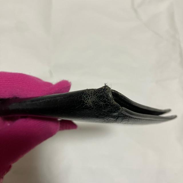 【ヴィンテージ】【COACH / コーチ】 レザー / 二つ折り財布 小銭入れ無 < ブランド 【ヴィンテージ】【COACH / コーチ】 レザー / 二つ折り財布 小銭入れ無 < ブランドの