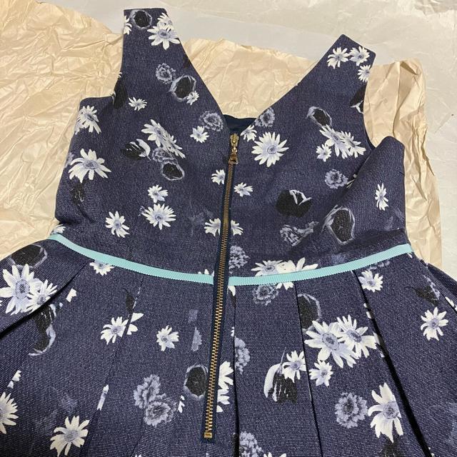 yizyCynthia Rowleyz ԕ / Ȃ ~js[X 2  uh 