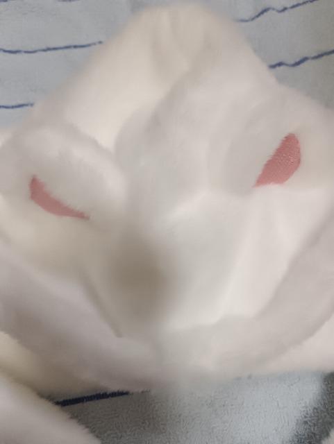 くまみみフードつきマフラー未使用品 < 女性ファッション くまみみフードつきマフラー未使用品 < 女性ファッションの