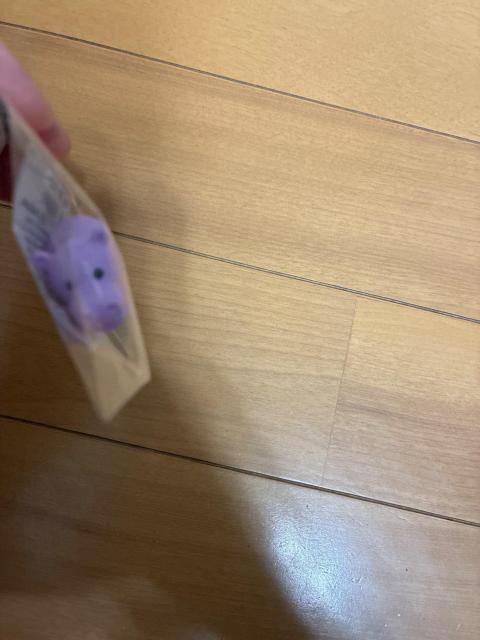 �C���R�[ ��������BOX �����V���[�Y �J�o �����S�� ���F ���{�� ���[�� ER-BOX300 �� �C���e���A/���C�t�� 