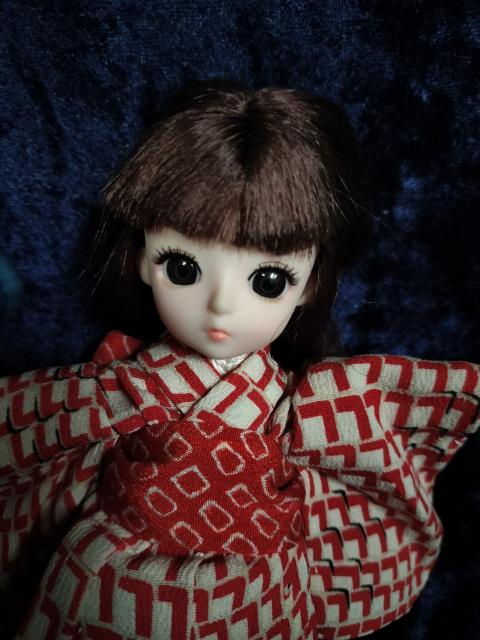 ���{�f�B�h�[���{��&�����Z�b�g �� ��������� 