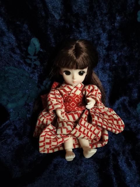 ���{�f�B�h�[���{��&�����Z�b�g �� ��������� 