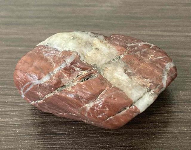 1,200~X^[gIuC[ƁvuWG[Ɓv̑fނɈgM΁iWXp[j  CeA/Ct 