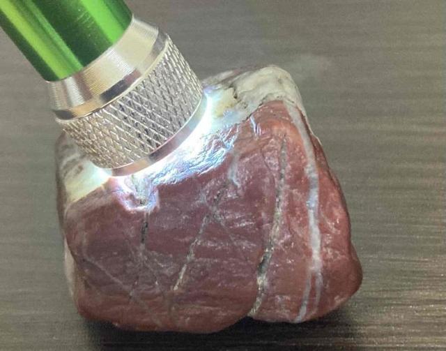 1,200~X^[gIuC[ƁvuWG[Ɓv̑fނɈgM΁iWXp[j  CeA/Ct 