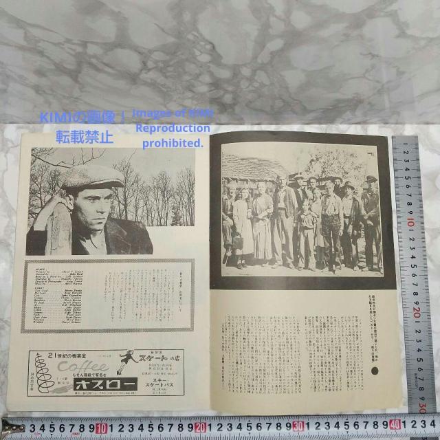 レア 映画パンフレット 怒りの葡萄 The Grapes of Wrath 19 < ホビー  レア 映画パンフレット 怒りの葡萄 The Grapes of Wrath 19 < ホビーの