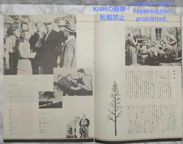 レア 映画パンフレット 怒りの葡萄 The Grapes of Wrath 19 < ホビー  レア 映画パンフレット 怒りの葡萄 The Grapes of Wrath 19 < ホビーの